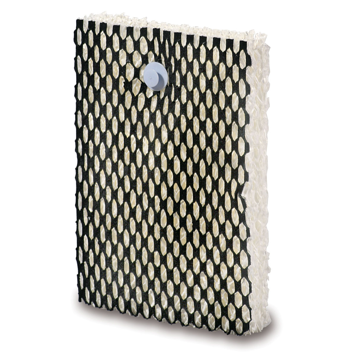 Filtre à mèche ColorcheckMD SunbeamMD de type F - lot de 2 Filtre à mèche ColorcheckMD SunbeamMD de type F - lot de 2